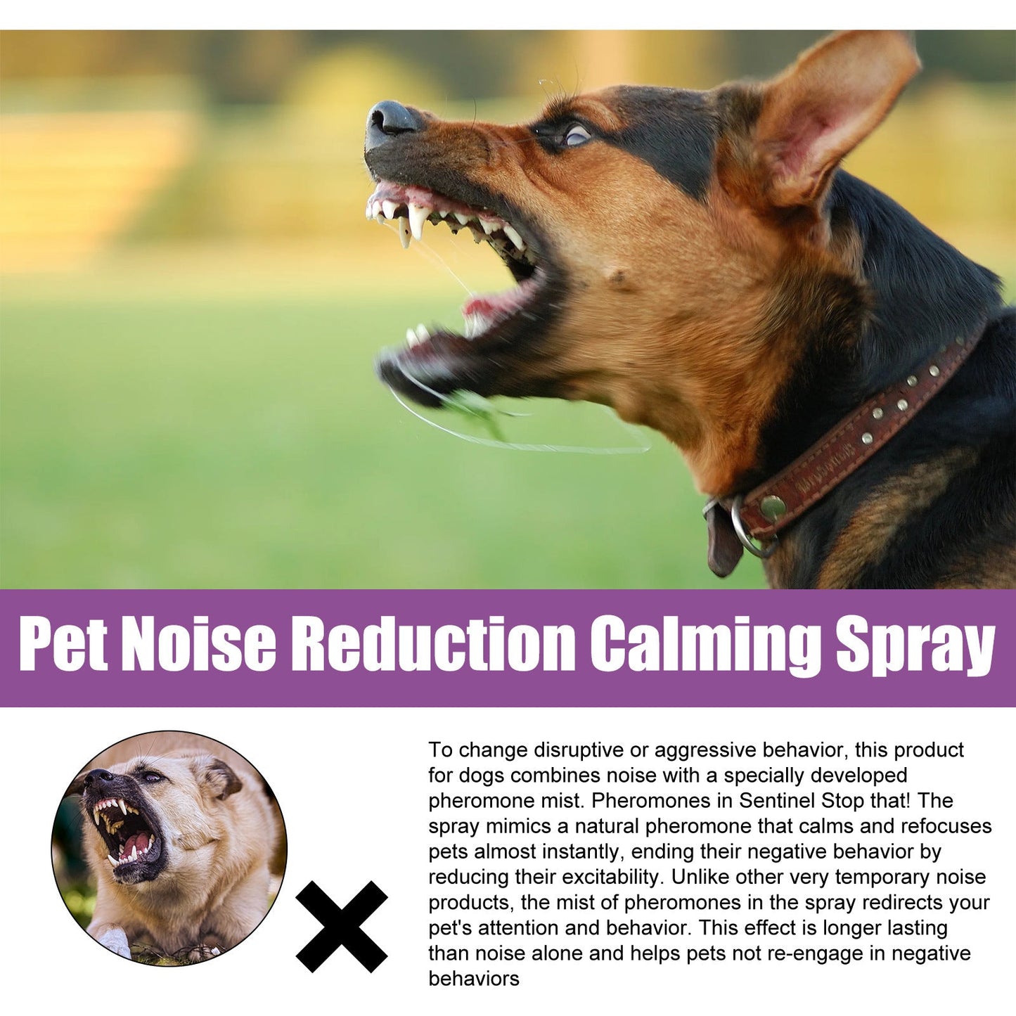 Spray anti-bruit pour animaux de compagnie, apaisant et apaisant
