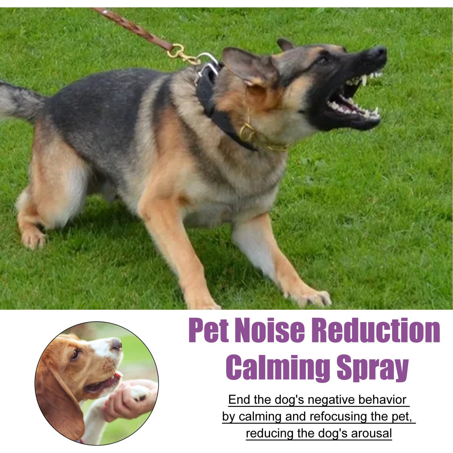 Spray anti-bruit pour animaux de compagnie, apaisant et apaisant