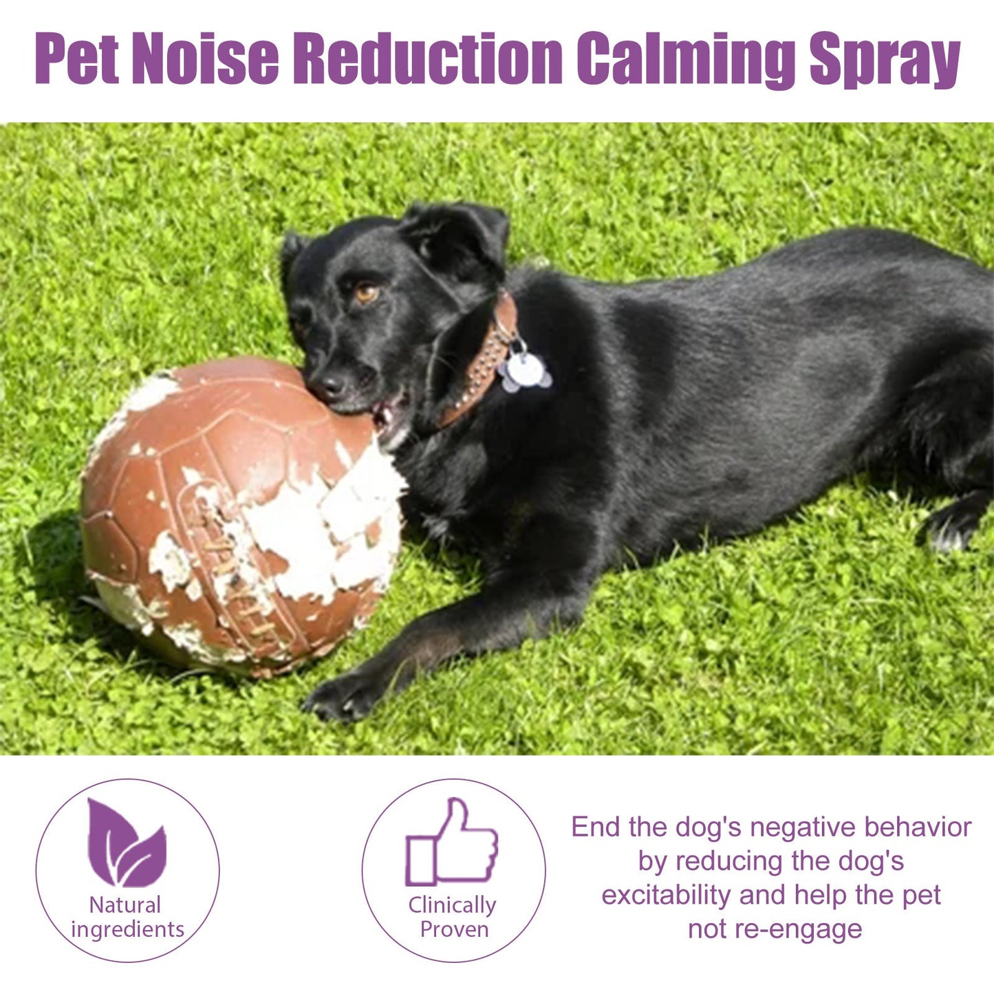 Spray anti-bruit pour animaux de compagnie, apaisant et apaisant